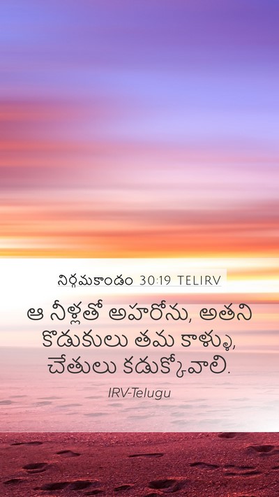 నిర్గమకాండం 30:19 TELIRV Bible Verse Image