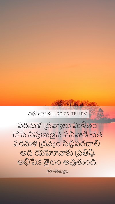 నిర్గమకాండం 30:25 TELIRV Bible Verse Image