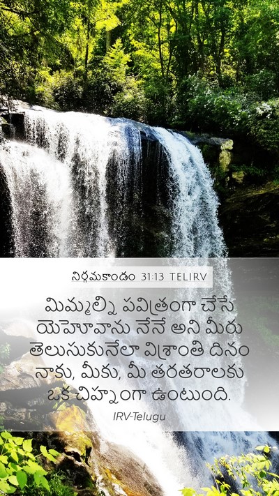 నిర్గమకాండం 31:13 TELIRV Bible Verse Image