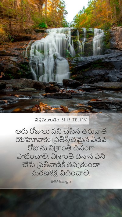 నిర్గమకాండం 31:15 TELIRV Bible Verse Image