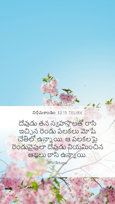 నిర్గమకాండం 32:15 TELIRV Bible Verse Image