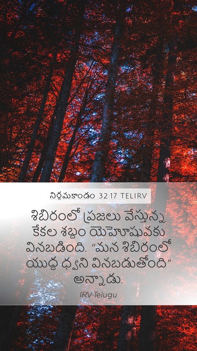 నిర్గమకాండం 32:17 TELIRV Bible Verse Image