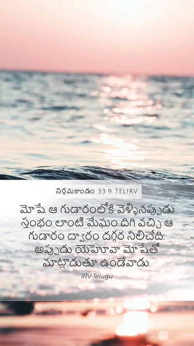 నిర్గమకాండం 33:9 TELIRV Bible Verse Image
