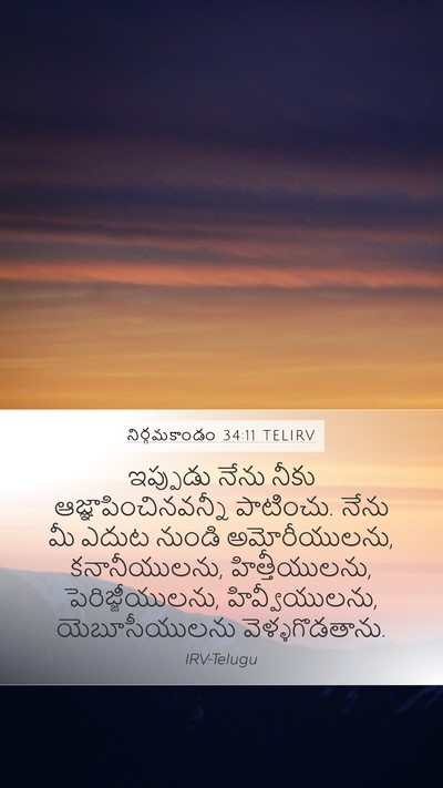 నిర్గమకాండం 34:11 TELIRV Bible Verse Image