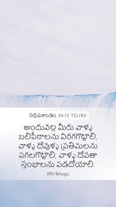 నిర్గమకాండం 34:13 TELIRV Bible Verse Image
