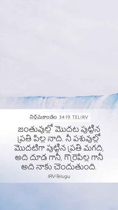 నిర్గమకాండం 34:19 TELIRV Bible Verse Image