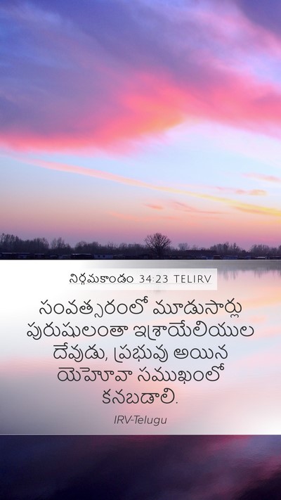 నిర్గమకాండం 34:23 TELIRV Bible Verse Image