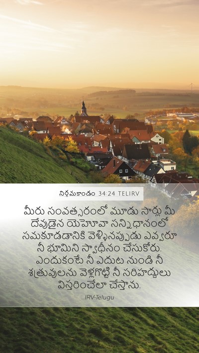 నిర్గమకాండం 34:24 TELIRV Bible Verse Image