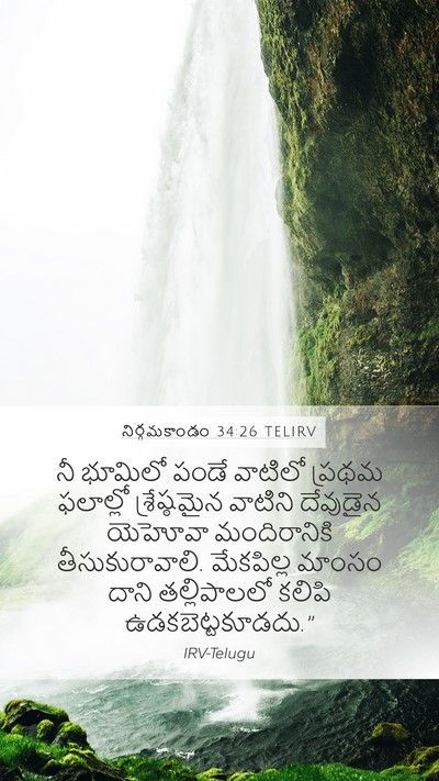 నిర్గమకాండం 34:26 TELIRV Bible Verse Image