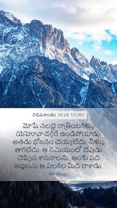 నిర్గమకాండం 34:28 TELIRV Bible Verse Image