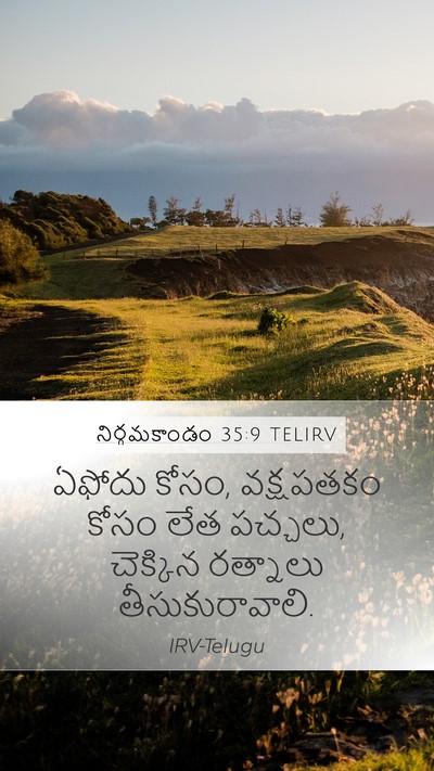 నిర్గమకాండం 35:9 TELIRV Bible Verse Image