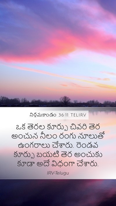 నిర్గమకాండం 36:11 TELIRV Bible Verse Image