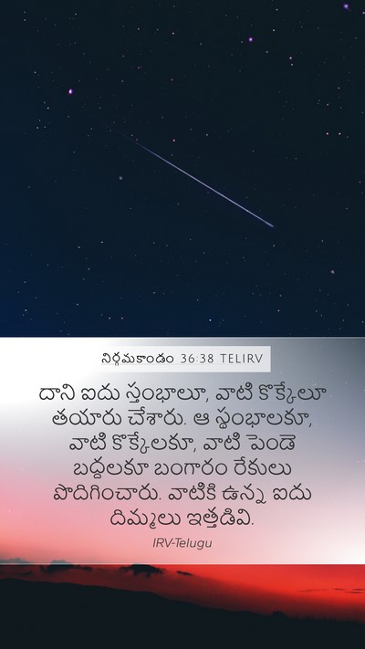 నిర్గమకాండం 36:38 TELIRV Bible Verse Image