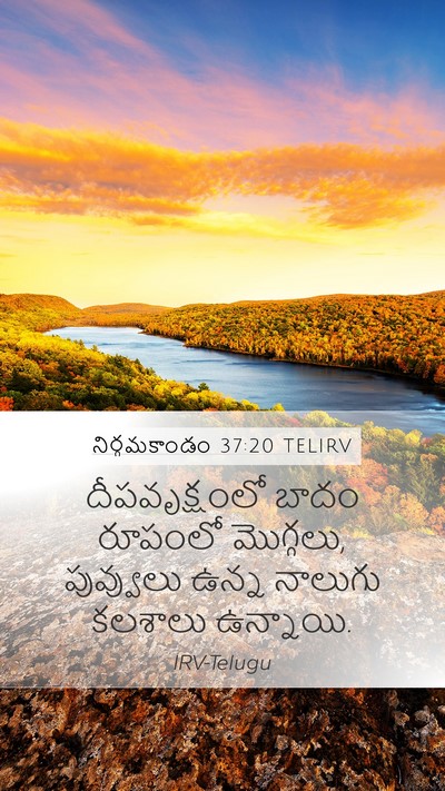 నిర్గమకాండం 37:20 TELIRV Bible Verse Image