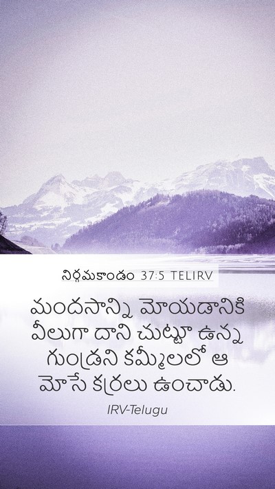 నిర్గమకాండం 37:5 TELIRV Mobile Phone Wallpaper - మందసాన్ని - Mobile Bible Verse Wallpaper