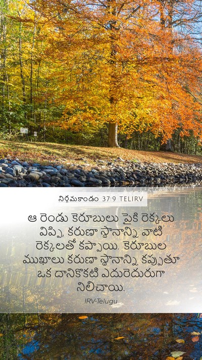 నిర్గమకాండం 37:9 TELIRV Bible Verse Image