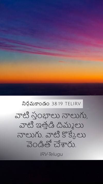 నిర్గమకాండం 38:19 TELIRV Bible Verse Image