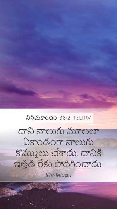నిర్గమకాండం 38:2 TELIRV Bible Verse Image