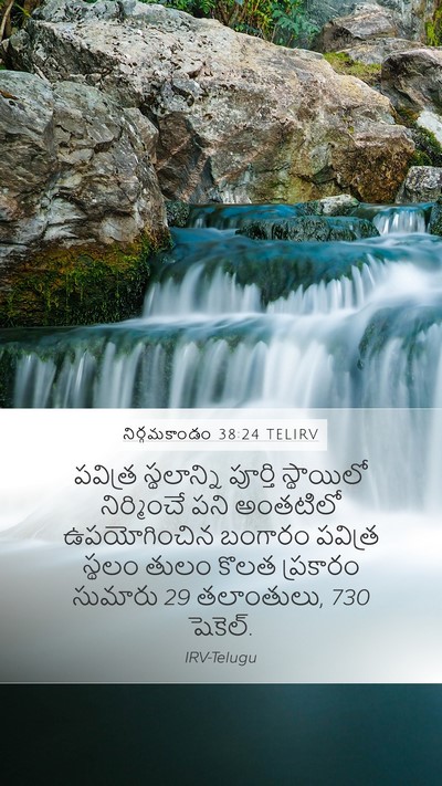 నిర్గమకాండం 38:24 TELIRV Bible Verse Image