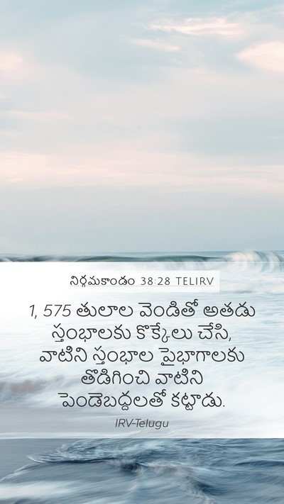 నిర్గమకాండం 38:28 TELIRV Bible Verse Image