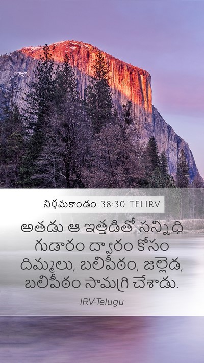 నిర్గమకాండం 38:30 TELIRV Bible Verse Image
