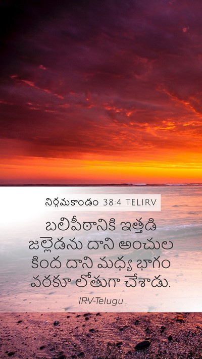 నిర్గమకాండం 38:4 TELIRV Bible Verse Image