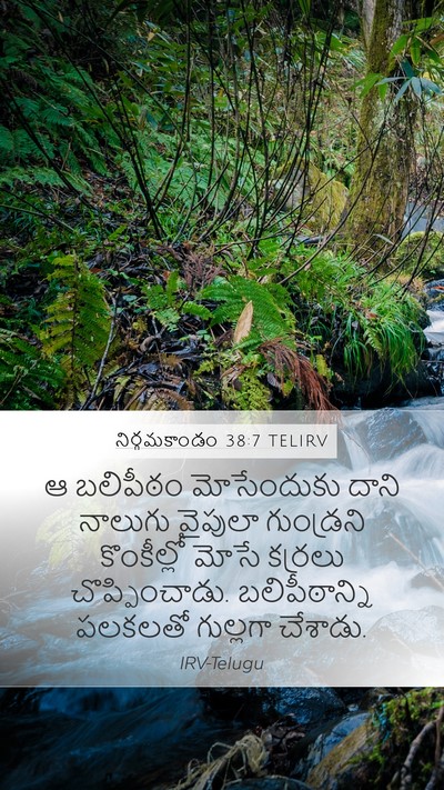 నిర్గమకాండం 38:7 TELIRV Mobile Phone Wallpaper - ఆ బలిపీఠం - Mobile Bible Verse Wallpaper