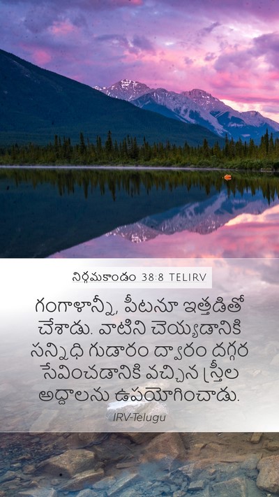 నిర్గమకాండం 38:8 TELIRV Bible Verse Image