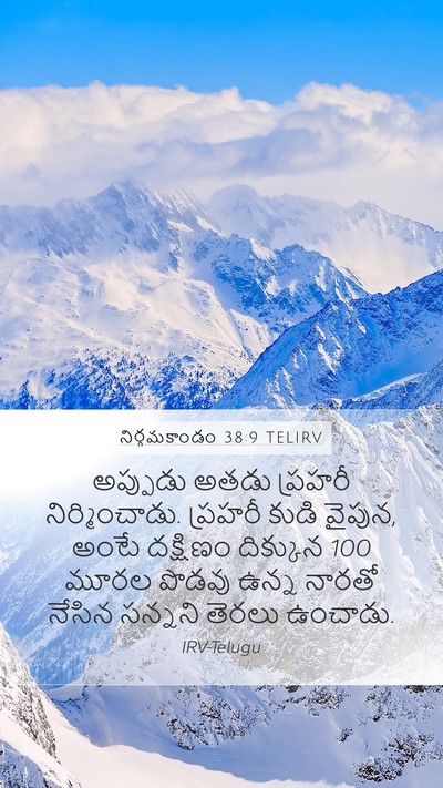 నిర్గమకాండం 38:9 TELIRV Bible Verse Image
