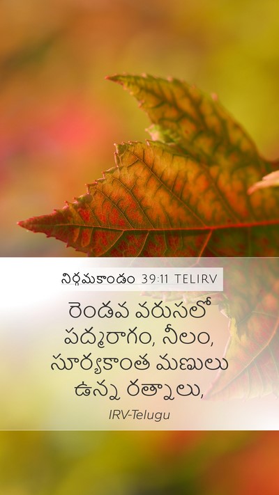నిర్గమకాండం 39:11 TELIRV Bible Verse Image