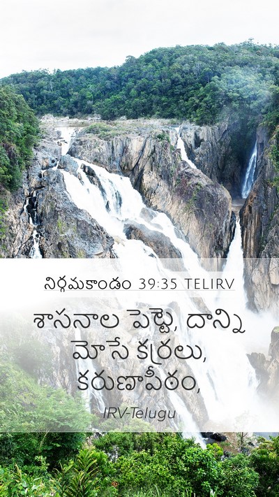 నిర్గమకాండం 39:35 TELIRV Mobile Phone Wallpaper - శాసనాల పెట్టె, - Mobile Bible Verse Wallpaper