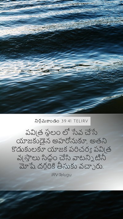 నిర్గమకాండం 39:41 TELIRV Bible Verse Image