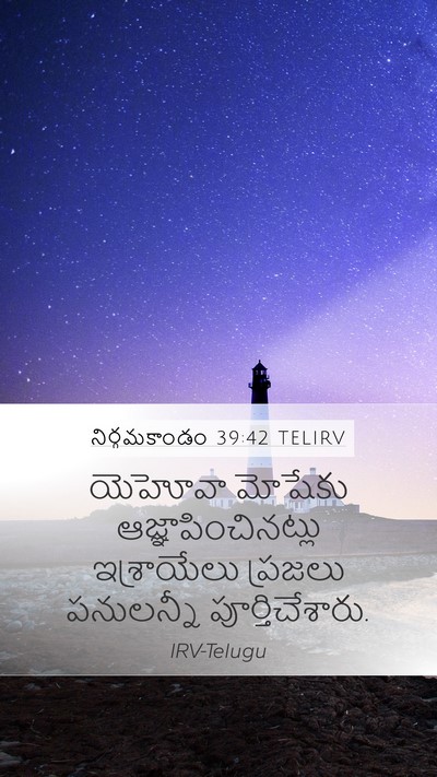 నిర్గమకాండం 39:42 TELIRV Bible Verse Image
