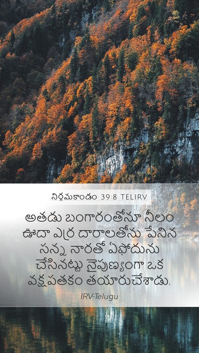 నిర్గమకాండం 39:8 TELIRV Bible Verse Image