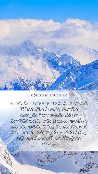 నిర్గమకాండం 4:14 TELIRV Bible Verse Image