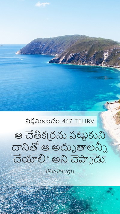 నిర్గమకాండం 4:17 TELIRV Bible Verse Image