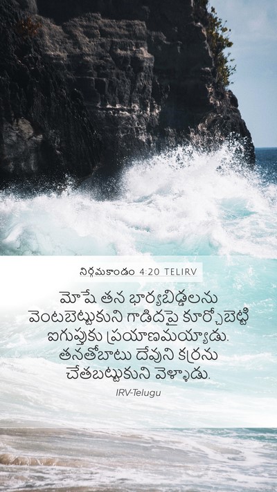 నిర్గమకాండం 4:20 TELIRV Bible Verse Image
