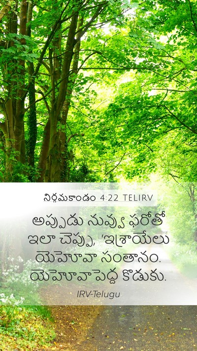 నిర్గమకాండం 4:22 TELIRV Bible Verse Image