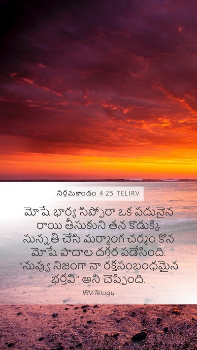 నిర్గమకాండం 4:25 TELIRV Bible Verse Image