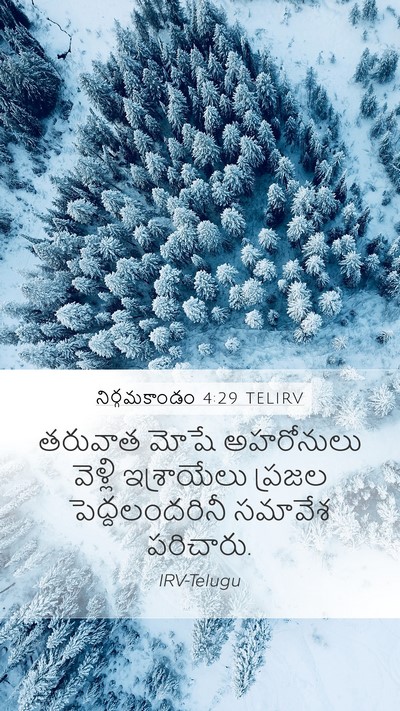 నిర్గమకాండం 4:29 TELIRV Bible Verse Image