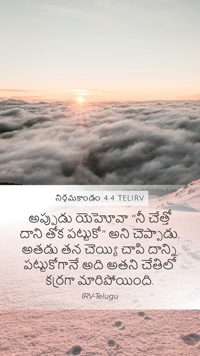 నిర్గమకాండం 4:4 TELIRV Bible Verse Image