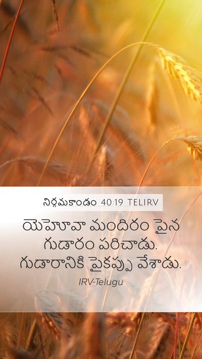 నిర్గమకాండం 40:19 TELIRV Bible Verse Image