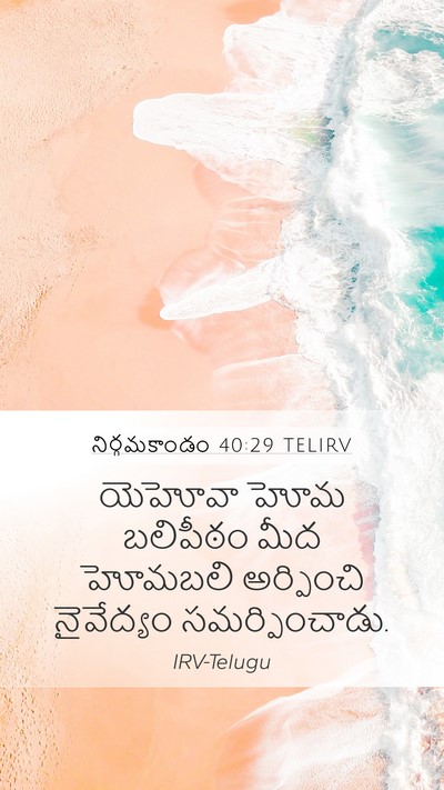 నిర్గమకాండం 40:29 TELIRV Bible Verse Image