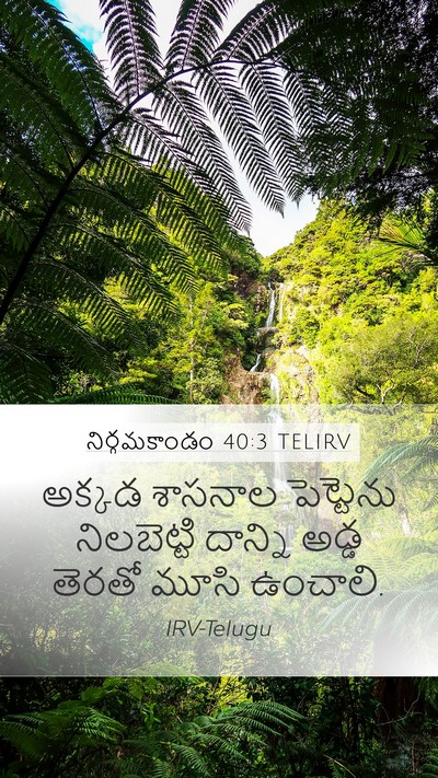 నిర్గమకాండం 40:3 TELIRV Bible Verse Image