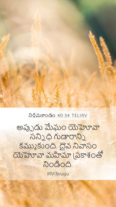 నిర్గమకాండం 40:34 TELIRV Bible Verse Image