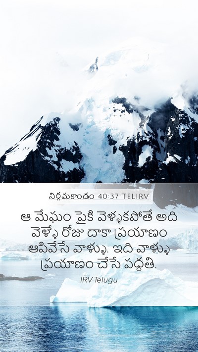 నిర్గమకాండం 40:37 TELIRV Mobile Phone Wallpaper - ఆ మేఘం పైకి - Mobile Bible Verse Wallpaper