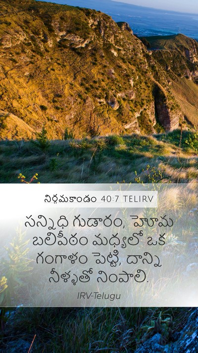 నిర్గమకాండం 40:7 TELIRV Mobile Phone Wallpaper - సన్నిధి గుడారం, - Mobile Bible Verse Wallpaper