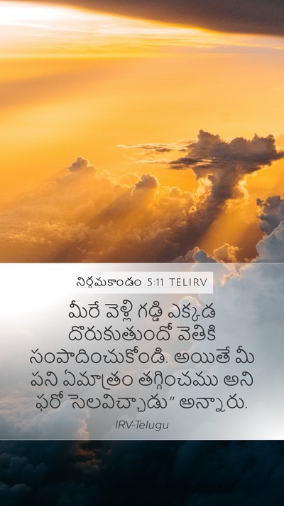 నిర్గమకాండం 5:11 TELIRV Mobile Phone Wallpaper - మీరే వెళ్లి గడ్డి - Mobile Bible Verse Wallpaper