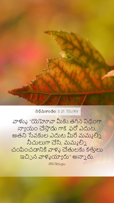 నిర్గమకాండం 5:21 TELIRV Bible Verse Image