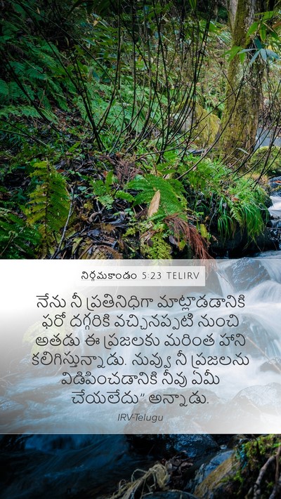 నిర్గమకాండం 5:23 TELIRV Bible Verse Image
